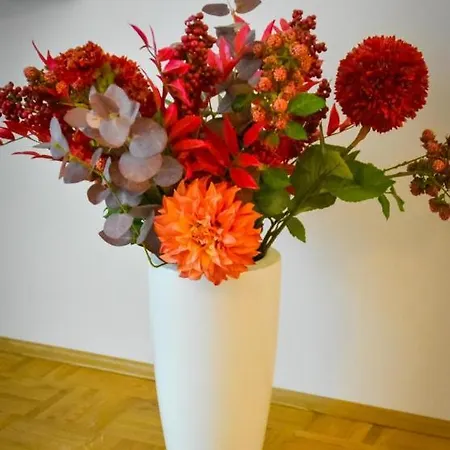 Stellastudio-3